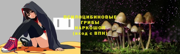 индика Сосновый Бор