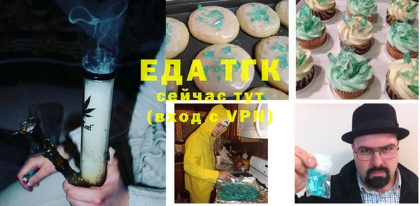 дживик Верхний Тагил