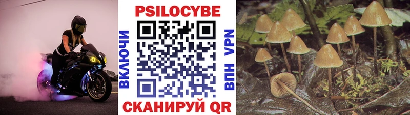 Псилоцибиновые грибы мухоморы  Новоузенск 